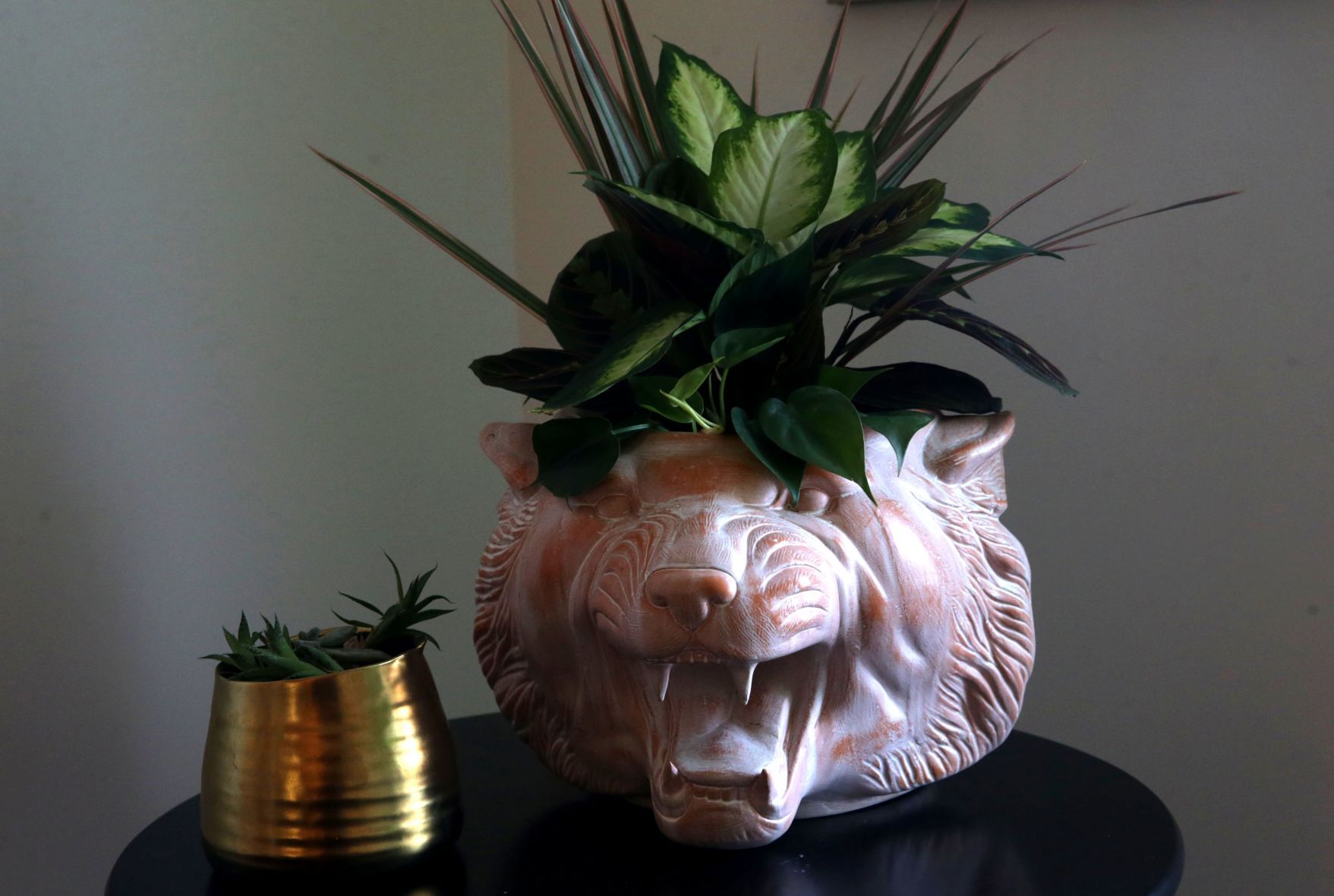 At home with Sally Evans and Josh Sydney-Smith in the Cherokee Arts District